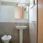 Xenia 4*